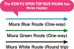 The KEIKYU OPEN TOP BUS MIURA has three routes: Miura Blue Route (One-way), Miura Green Route (One-way), Miura White Route (Round trip)