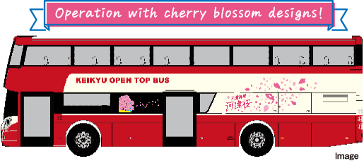 Operation with cherry blossom designs!