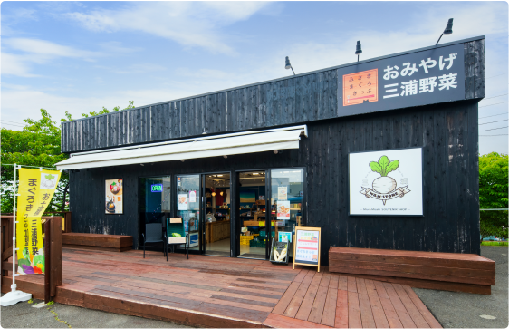 Miura Misaki Store