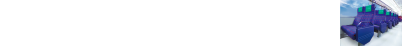 Weekends and Holidays: Wing Seat