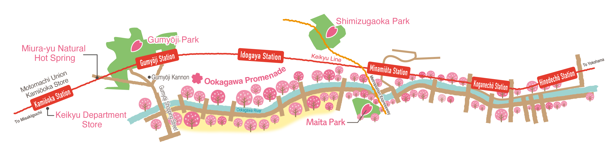 Cherry Blossom Walking Course