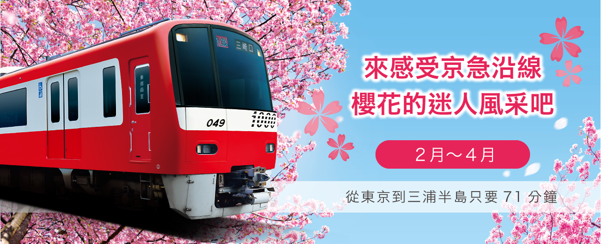 來感受京急沿線  櫻花的迷人風采吧 2月～4月  從東京到三浦半島只要〇〇分鐘